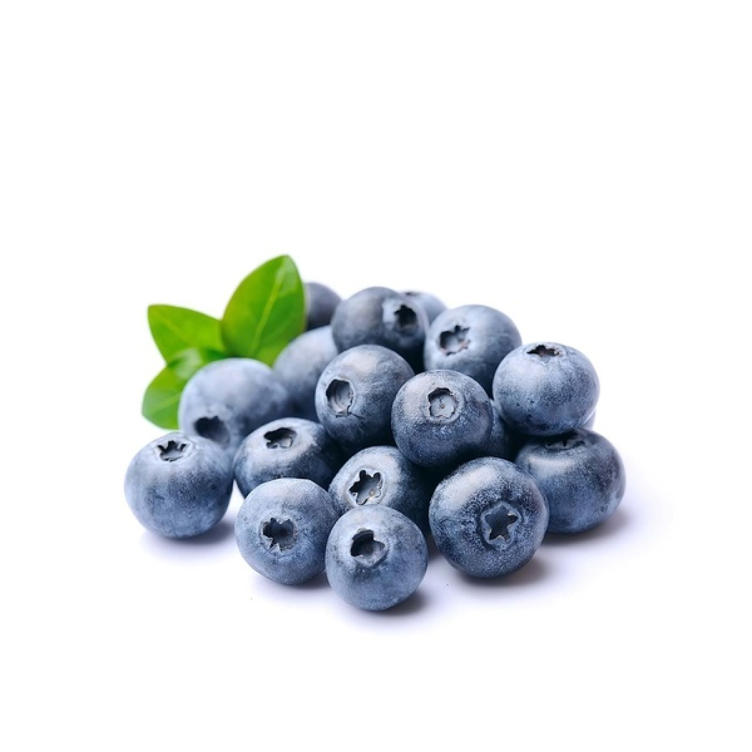 BLUEBERRY, USA