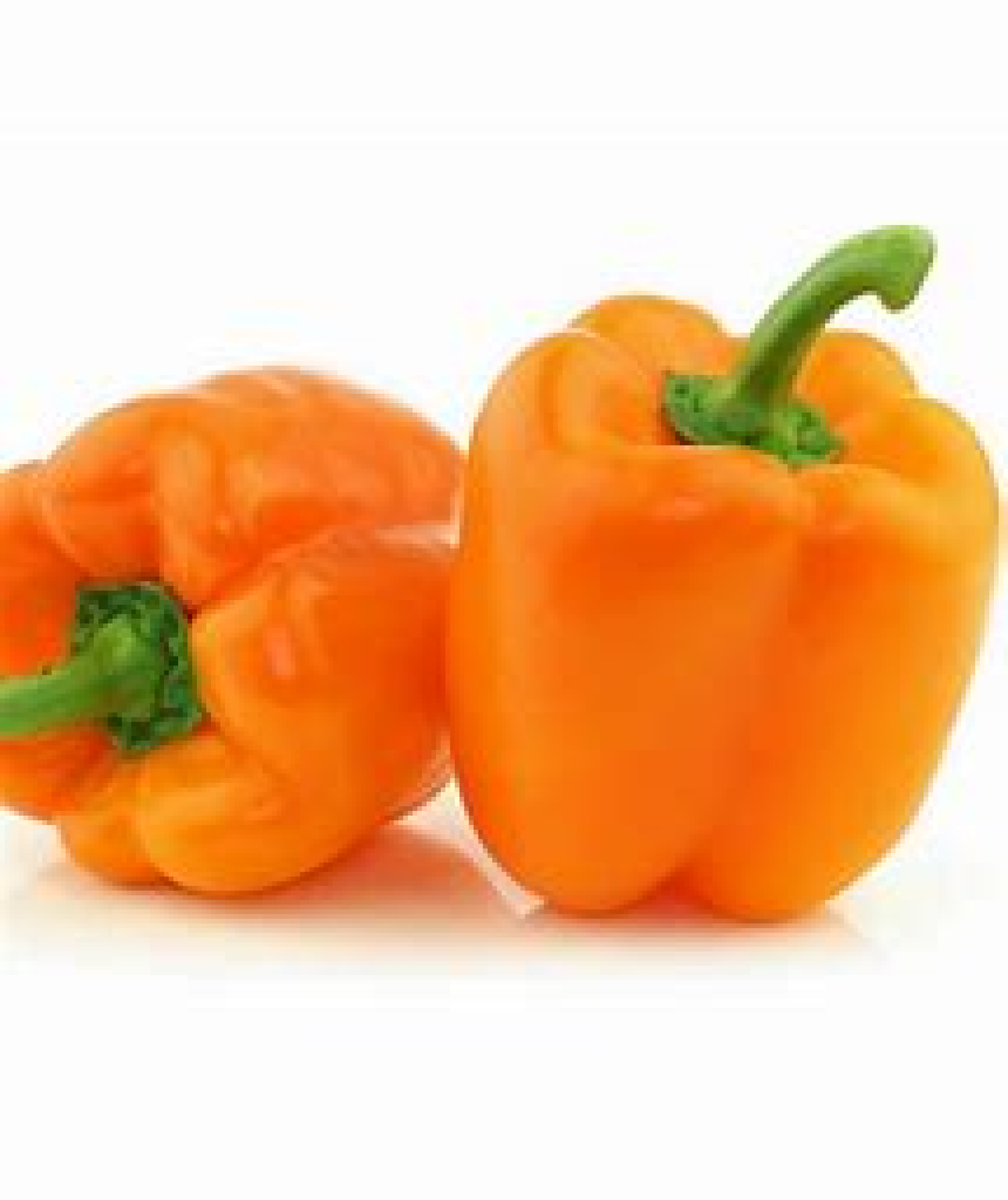 Capsicum orange holland