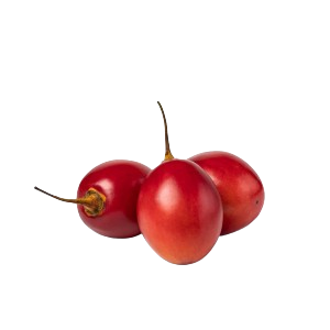 تماريللو الهولندية