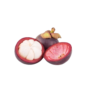 MANGOSTEEN
