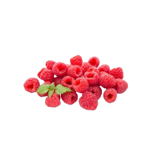 توت احمر امريكي