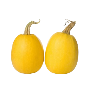 قرع اصفر امريكي