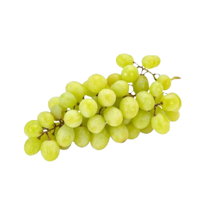 grape white seedless USA