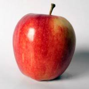 apple gala USA